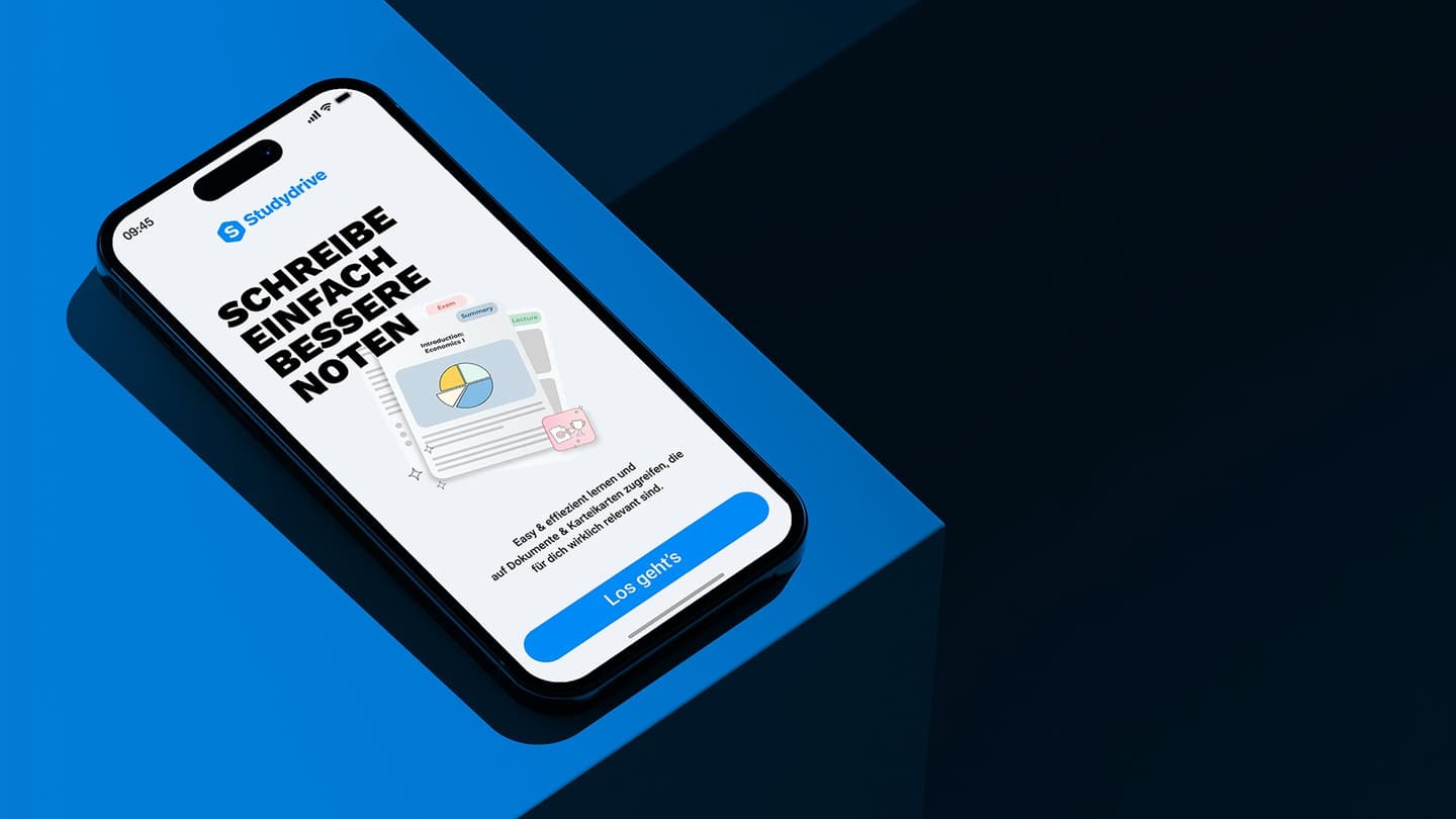 Studierende, die Studydrive nutzen